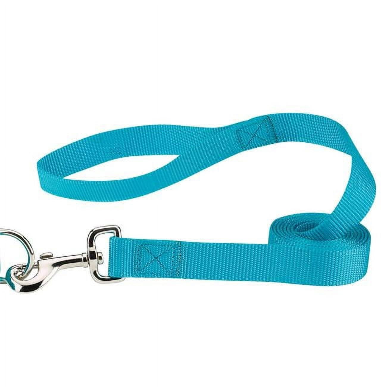 4 ft. x 0.62 in. Nylon Dog Leash Lead, Blue