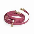 thumbnail image 1 of 4-in-1 Convertible Hands Free Cloud Dog Leash, 8.5-ft long, 5/8-in wide, 1 of 10