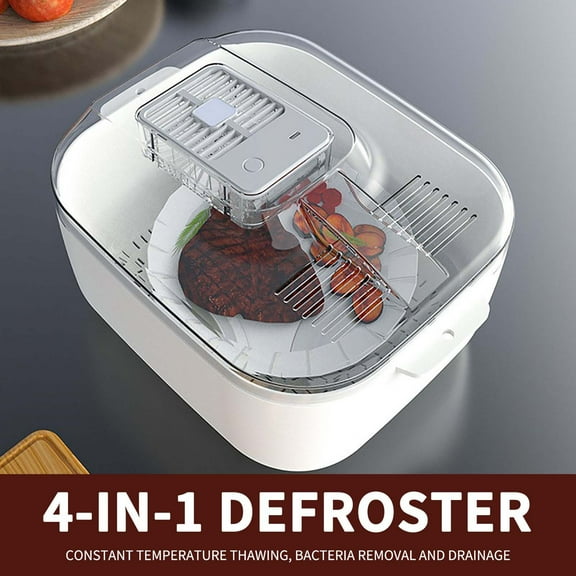 4 in 1 Defrosting Tray, Meat Thawing Plate for Kitchen, Frozen Food Defroster for Steak Chicken Fish, Home Cooking Tool