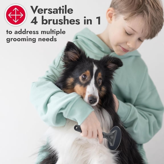 4-in-1 Interchangeable Dog Grooming Tool – Rake, Slicker, Comb & Pin Brush Heads, Versatile All-in-One Design, Non-Slip Handle, for All Coat Types, Red/Gray