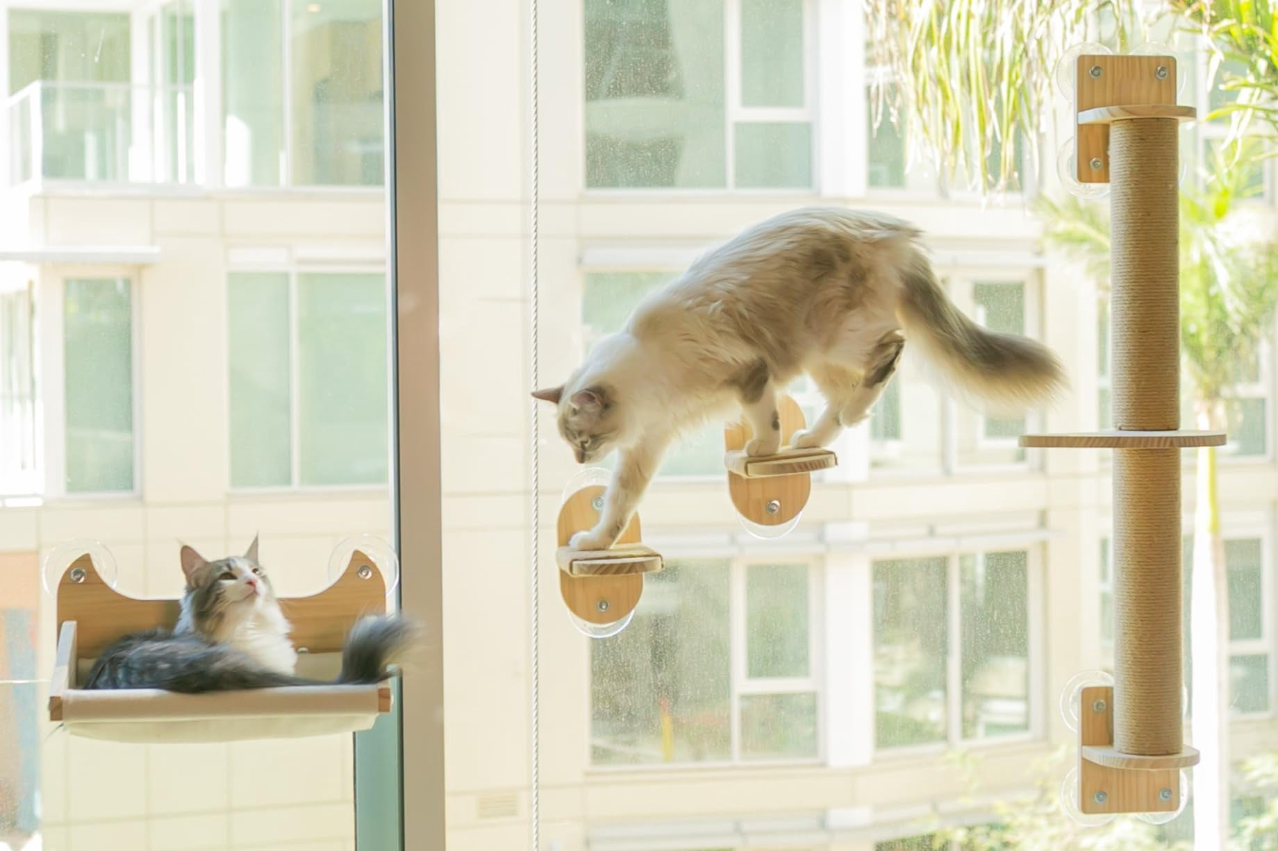 4-in-1 Window & Wall Mount Cat Shelves - Hammock  Perch | Fits Up To 40 Lbs Space-saving Pet Furniture For Windows Glass Drywall Modern Wood Shelf Set