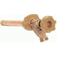 thumbnail image 1 of 4 in. Freezeless Faucet, 1 of 1