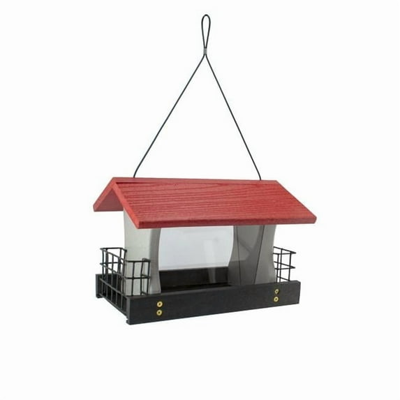 4 lbs Going Green Wild Bird Plastic Ranch Seed & Suet Bird Feeder
