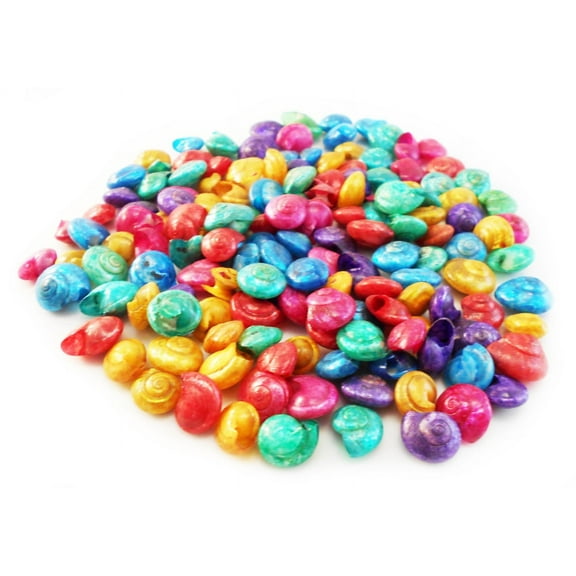 4 oz (about 300 shells) Dyed Umbonium (Button) Mini Shells (1/4") Crafts Seashells Vase Filling