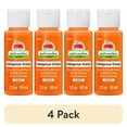 thumbnail image 1 of (4 pack) Apple Barrel Multi Surface Craft Paint, Satin Finish, Outrageous Orange, 2 fl oz, 1 of 14