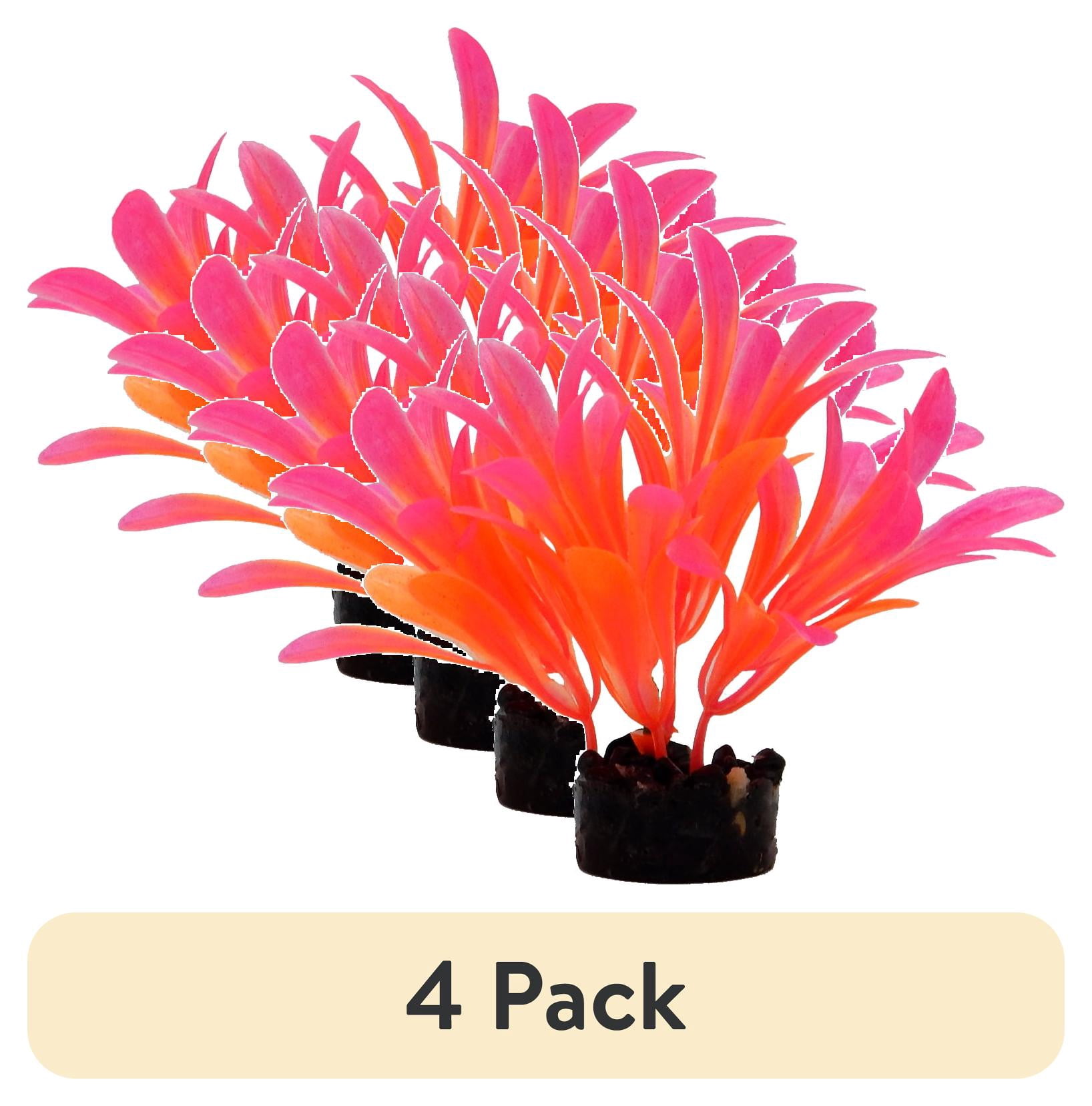 (4 pack) Aqua Culture Bright Plant Assortment