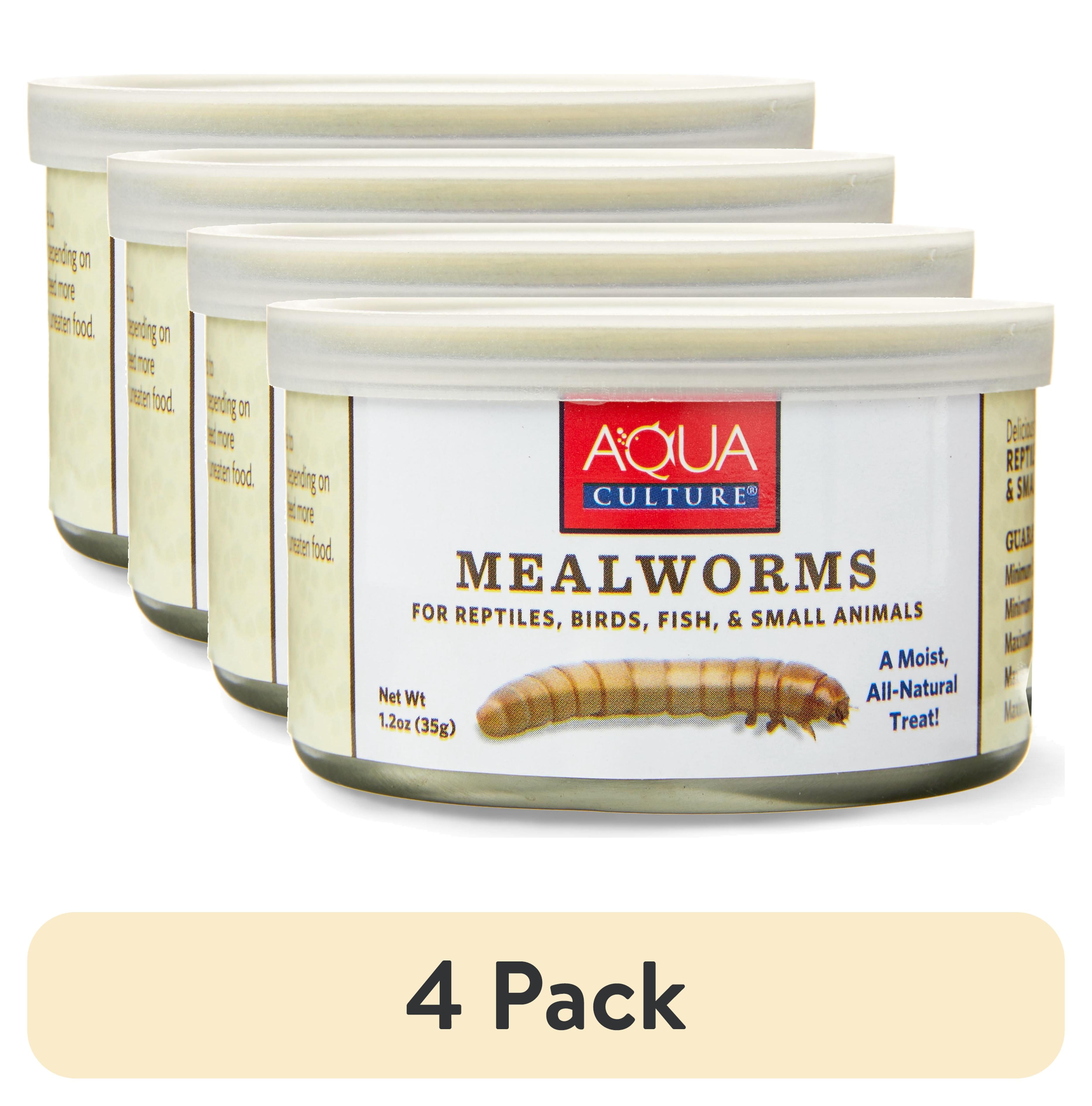 0123【冷凍】ヤワゲネズミ　リタイアサイズ80～100ｇ　40匹 Aqua Culture Mealworms for Reptiles, Birds, Fish, Small Animals