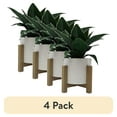 thumbnail interactive-video image 1 of (4 pack) Better Homes & Gardens 10 in Artificial Green Agave in Colored Decorative Ceramic Pot, 1 of 8