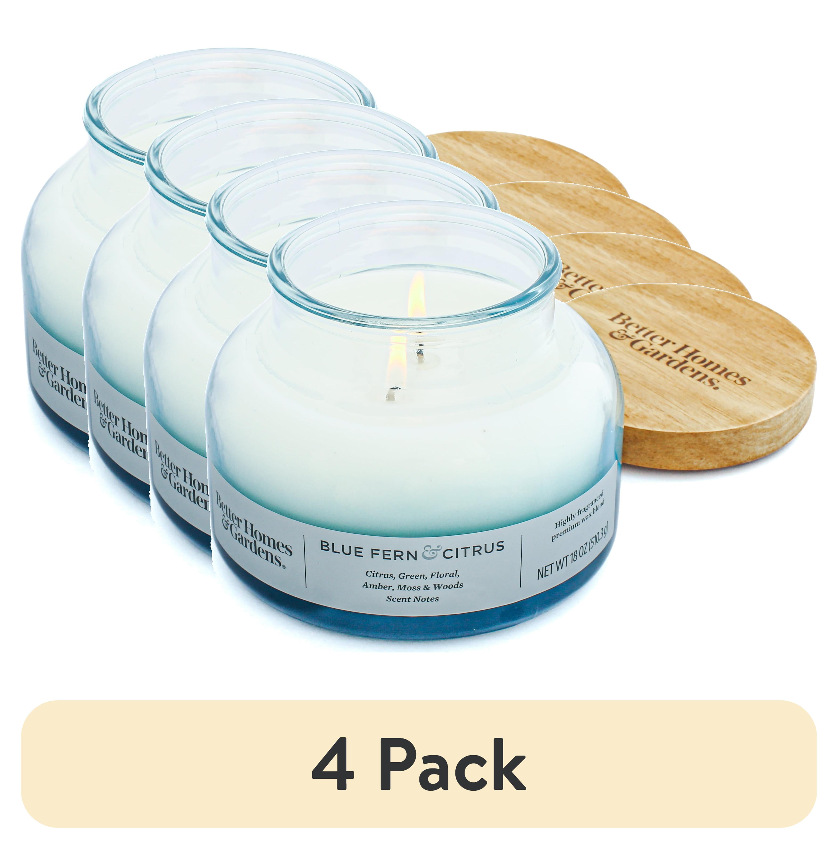 (4 pack) Better Homes & Gardens Blue Fern & Citrus Scented 2-Wick 18oz Ombre Bell Jar Candle