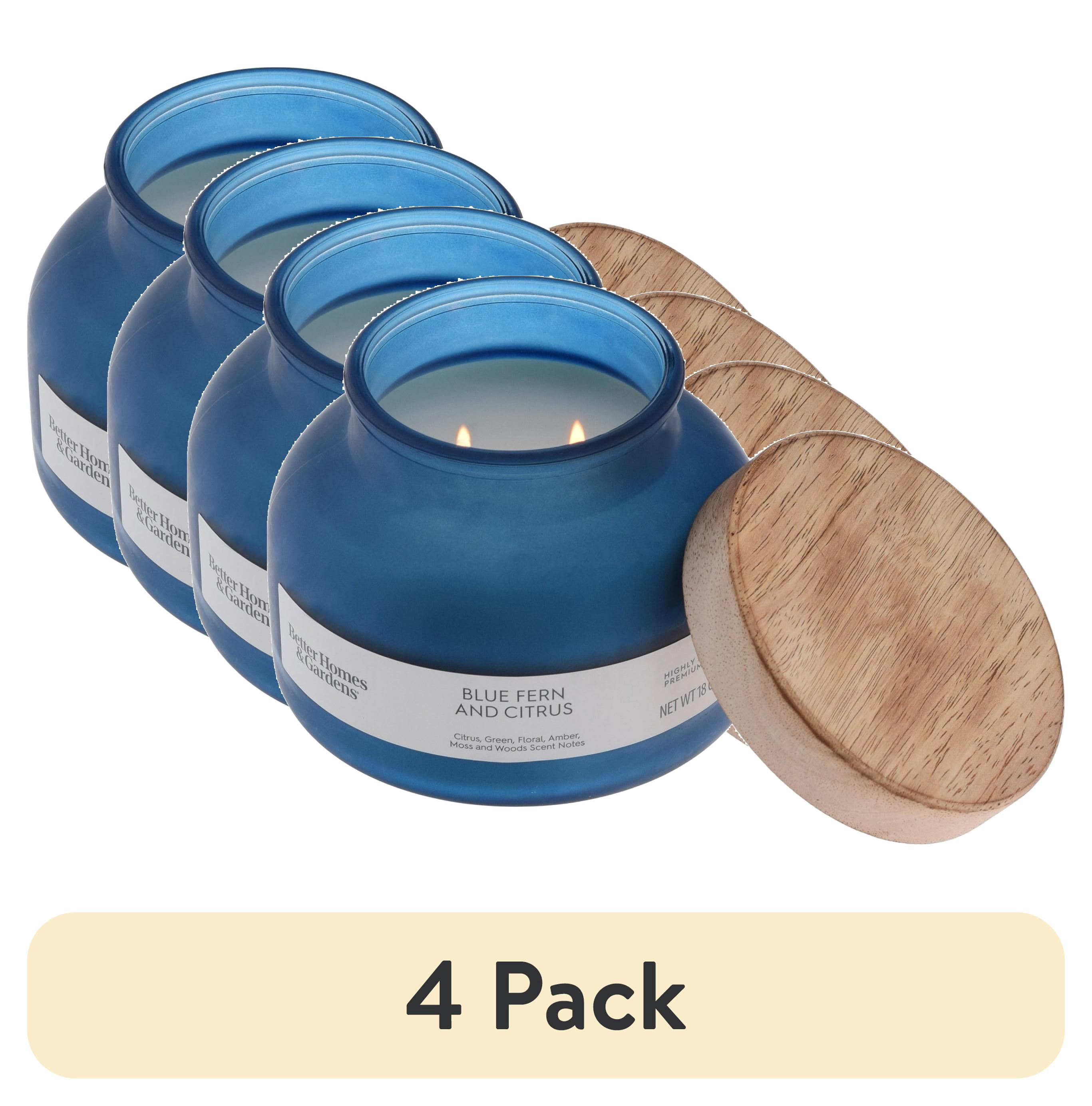 (4 pack) Better Homes and Gardens Blue Fern and Citrus Scented 2-Wick Frosted Jar Candle 18oz.