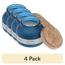 (4 pack) Better Homes and Gardens Blue Fern and Citrus Scented 2-Wick Frosted Jar Candle 18oz.