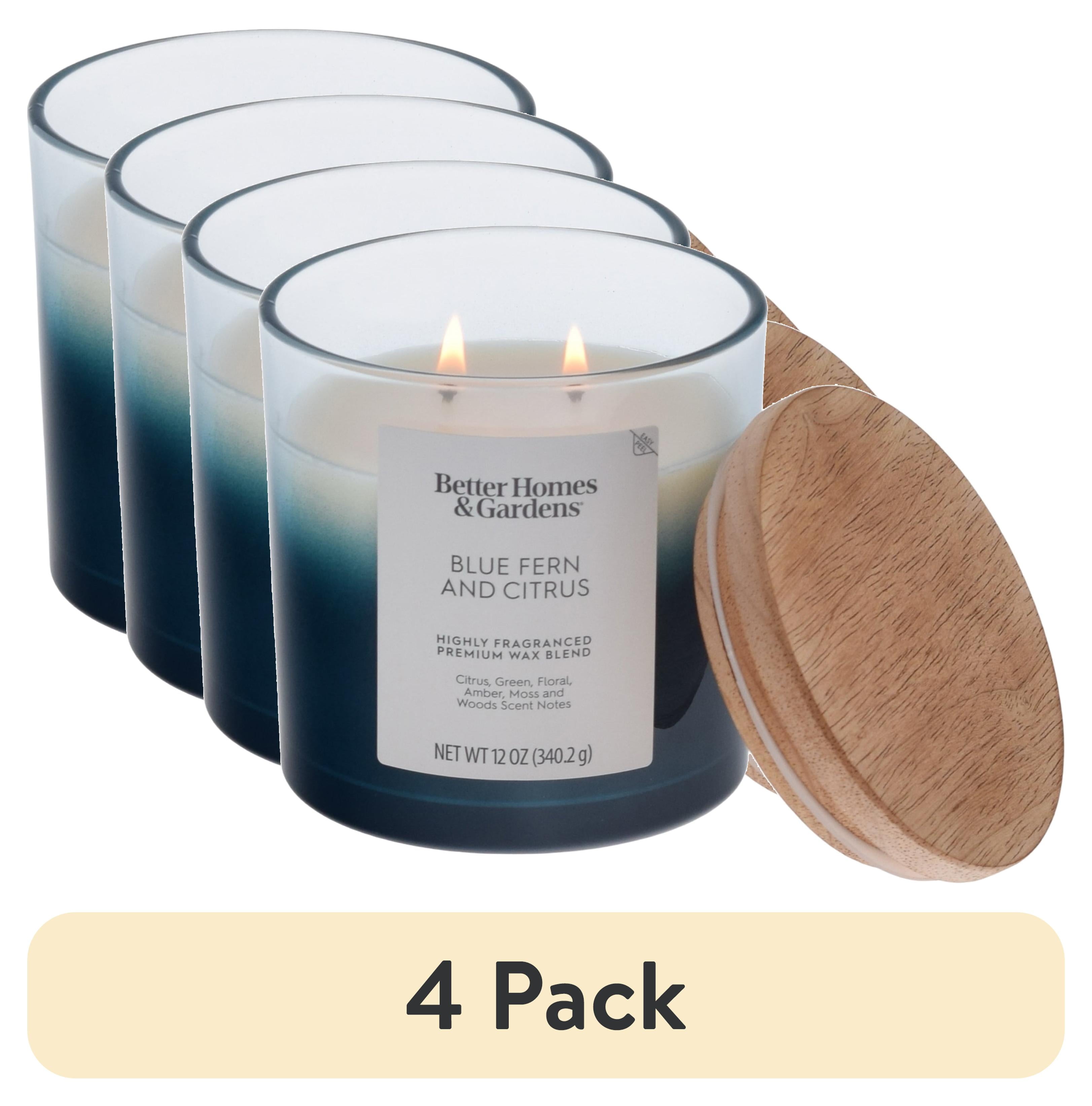 (4 pack) Better Homes and Gardens Blue Fern and Citrus Scented 2-Wick Ombre Jar Candle 12oz.