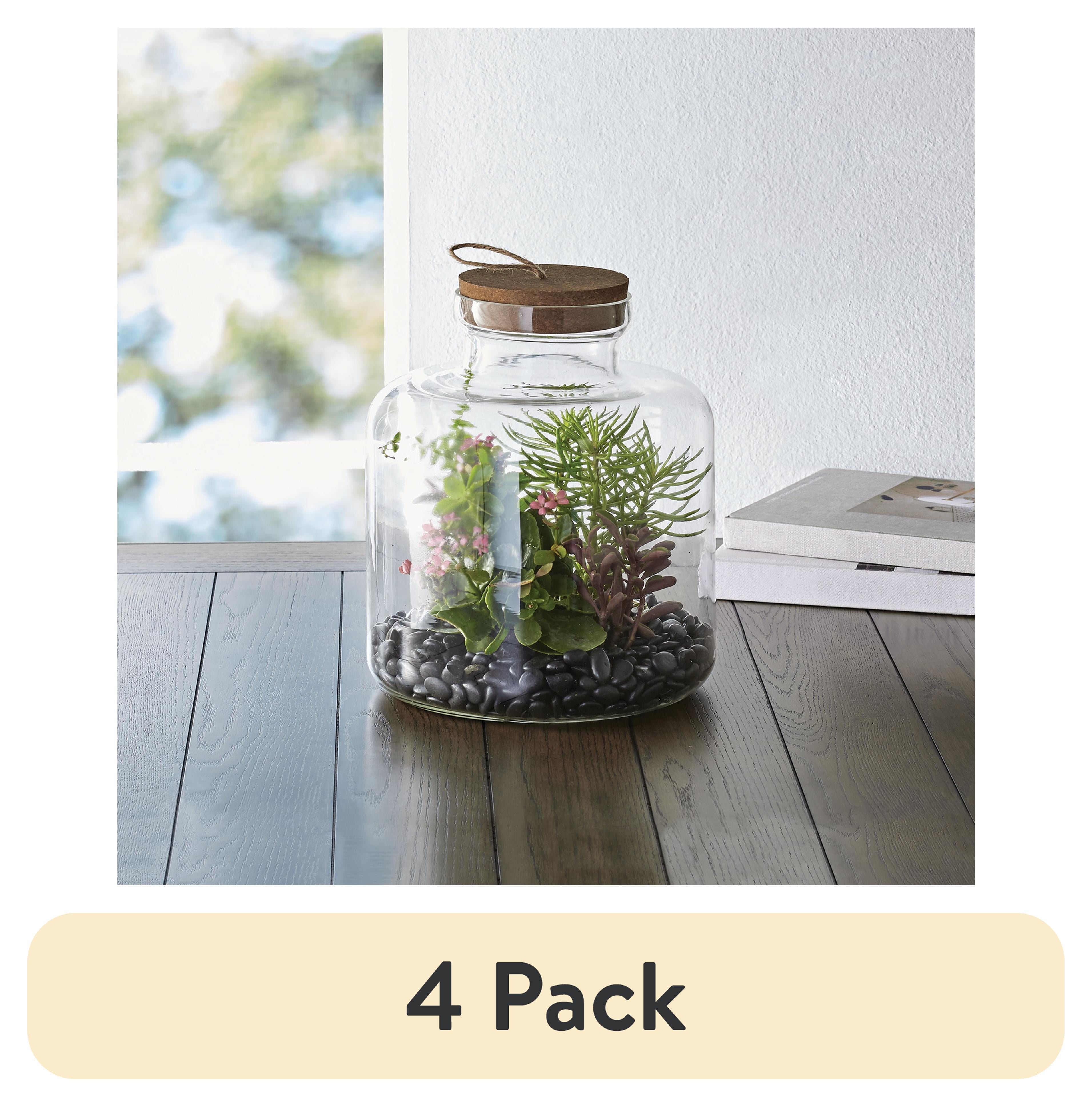 (4 pack) Better Homes & Gardens Indoor Cylindrical Medium Glass Terrarium