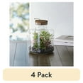 thumbnail image 1 of (4 pack) Better Homes & Gardens Indoor Cylindrical Medium Glass Terrarium, 1 of 10