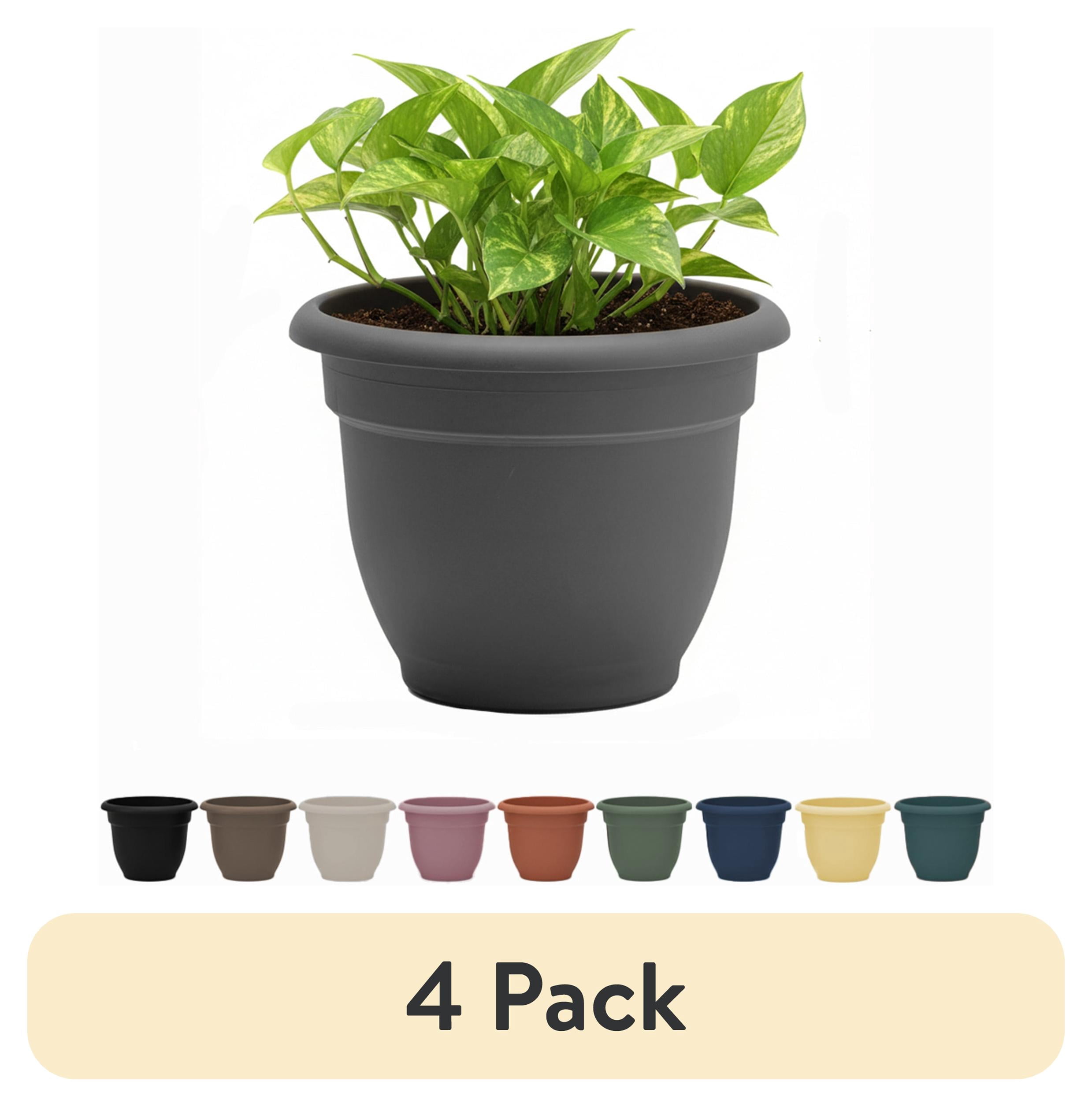 (4 pack) Bloem Ariana 12" Self-Watering Plastic Planter - Rolled Rim Indoor/Outdoor Garden Pot, Charcoal