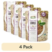 (4 pack) Earthly Choice Healthy Delicious Good Day Lentils Trail Mix Bag Gluten Free and Vegan, 10 oz
