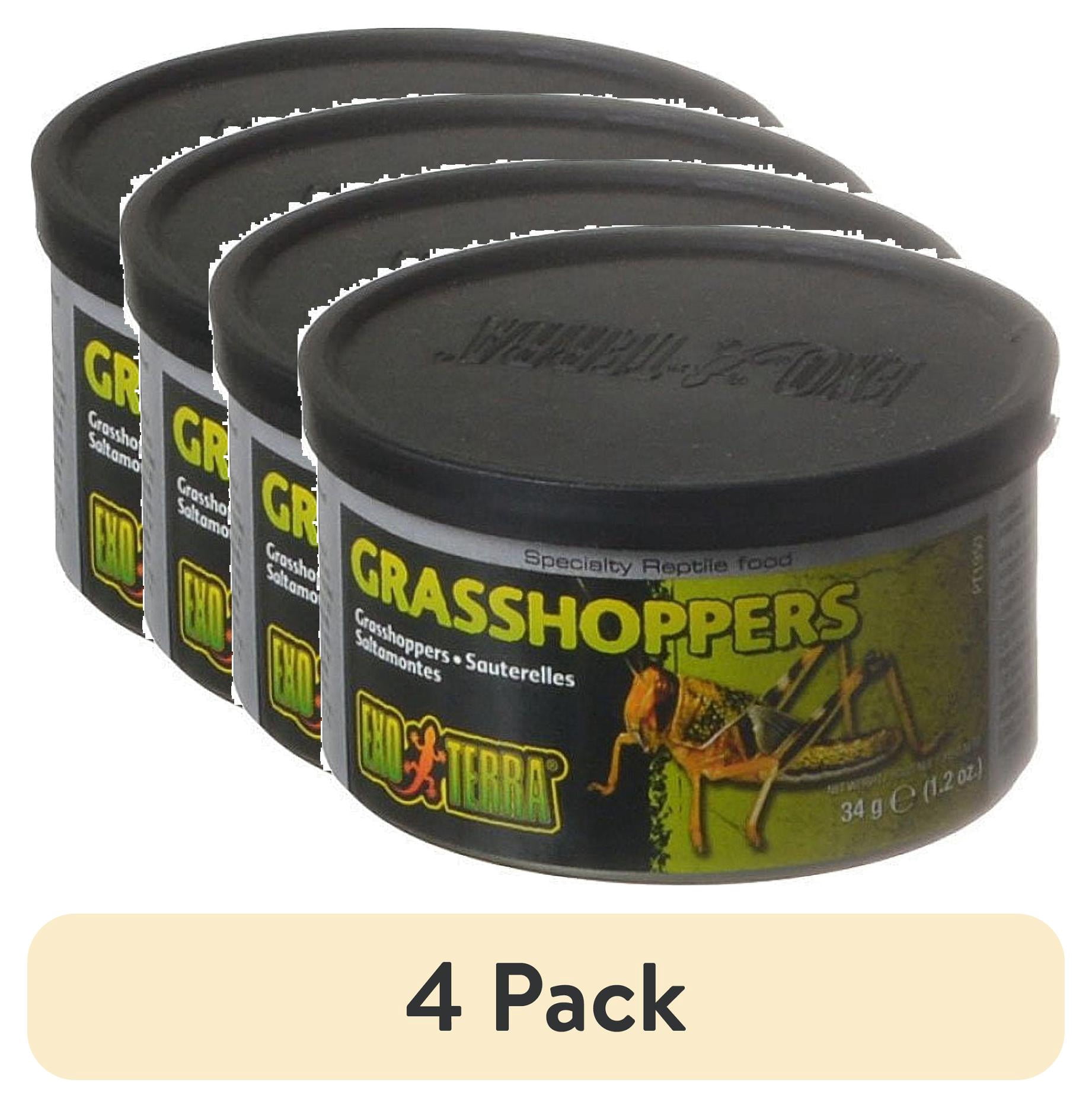 (4 pack) Exo Terra Grasshopper Reptile Food, Insects, 1.2 oz. Can