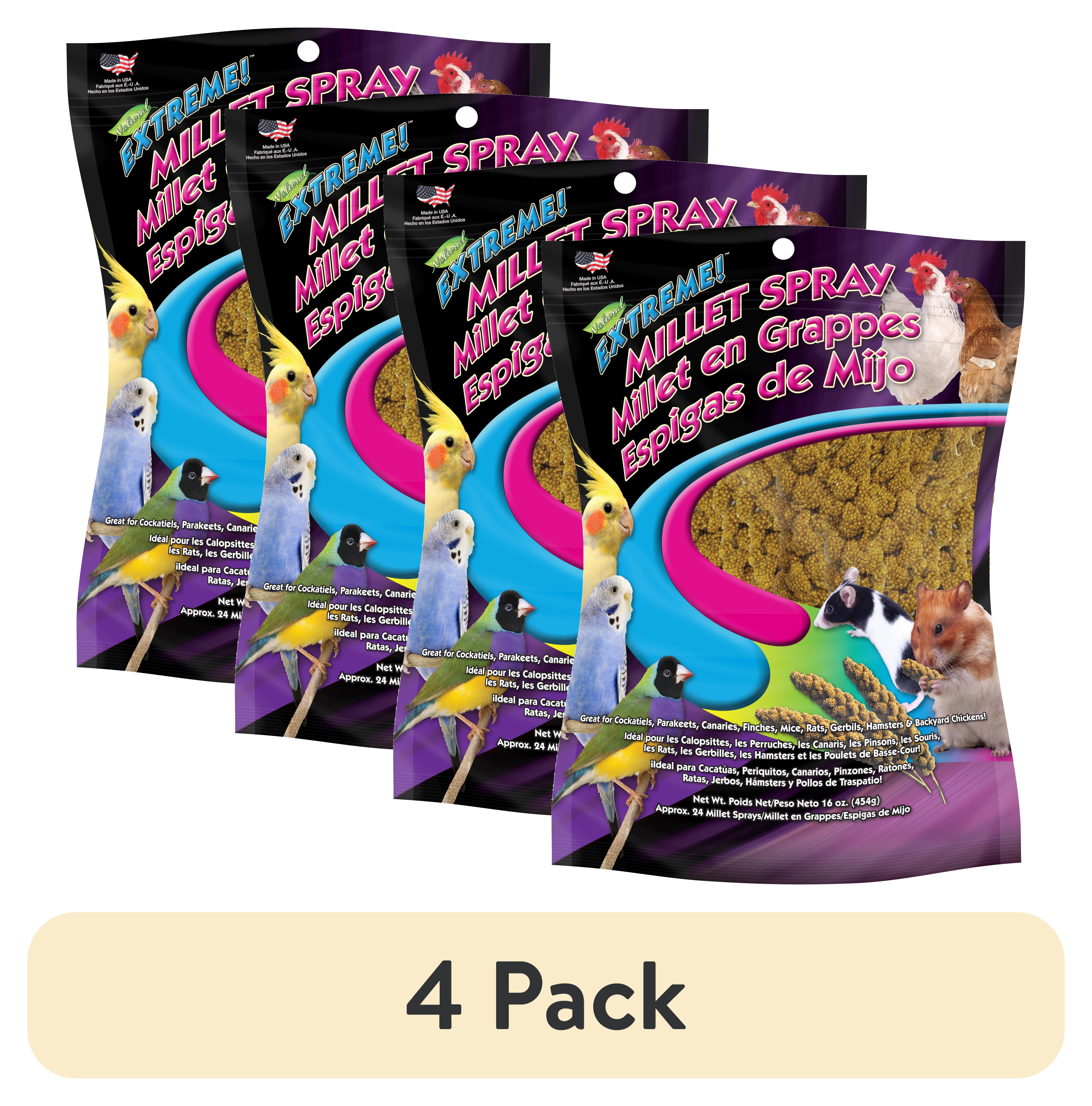 (4 pack) F.M. Brown's Extreme Spray Millet Treat 16 Oz For Parakeets, Cockatiels, and Finches