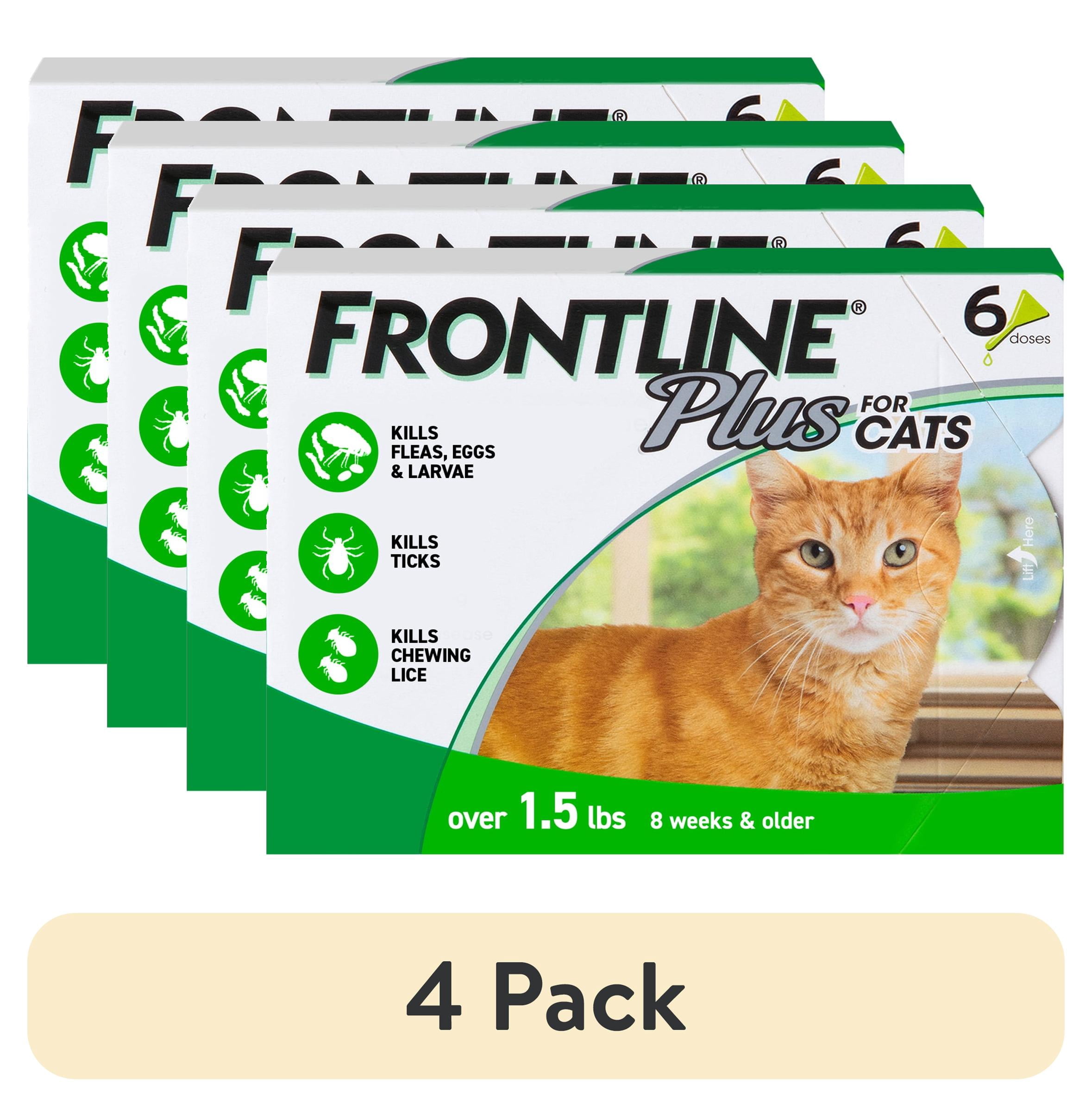 (4 pack) FRONTLINE Plus for Cats and Kittens Flea and Tick Treatment, 6 Count