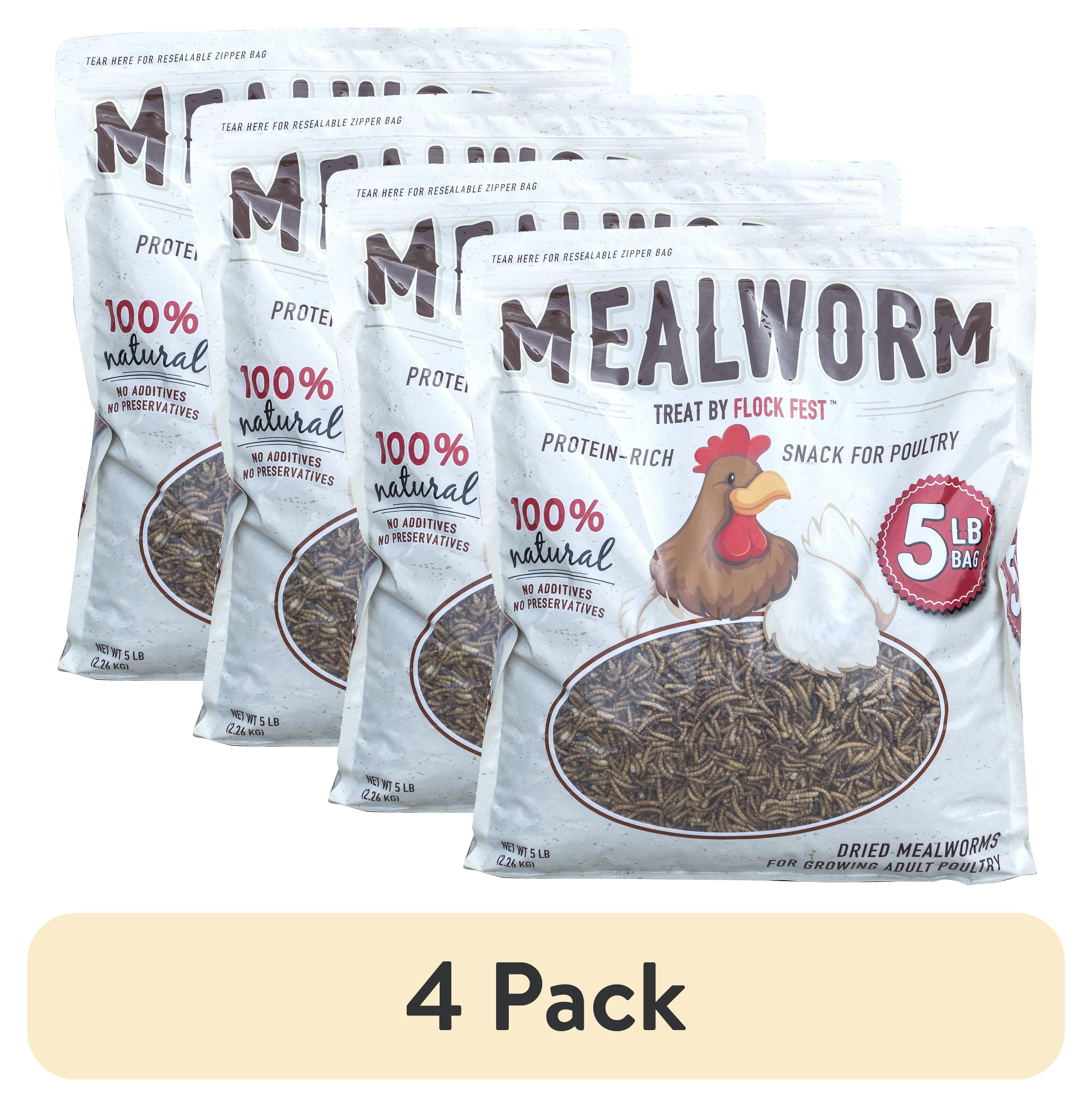 (4 pack) Flock Fest Dried Mealworms for Chickens, Wild Birds, Ducks, and Small Pets, 5 lbs. Bag