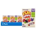thumbnail image 1 of (4 pack) Funables Fruity Snacks, Mixed Berry Flavored Snacks, 0.8 Ounce Pouches, 40 Count, 1 of 13