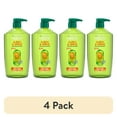 thumbnail image 1 of (4 pack) Garnier Fructis Sleek & Shine Argan Oil Anti Frizz Shampoo 1L, 1 of 13
