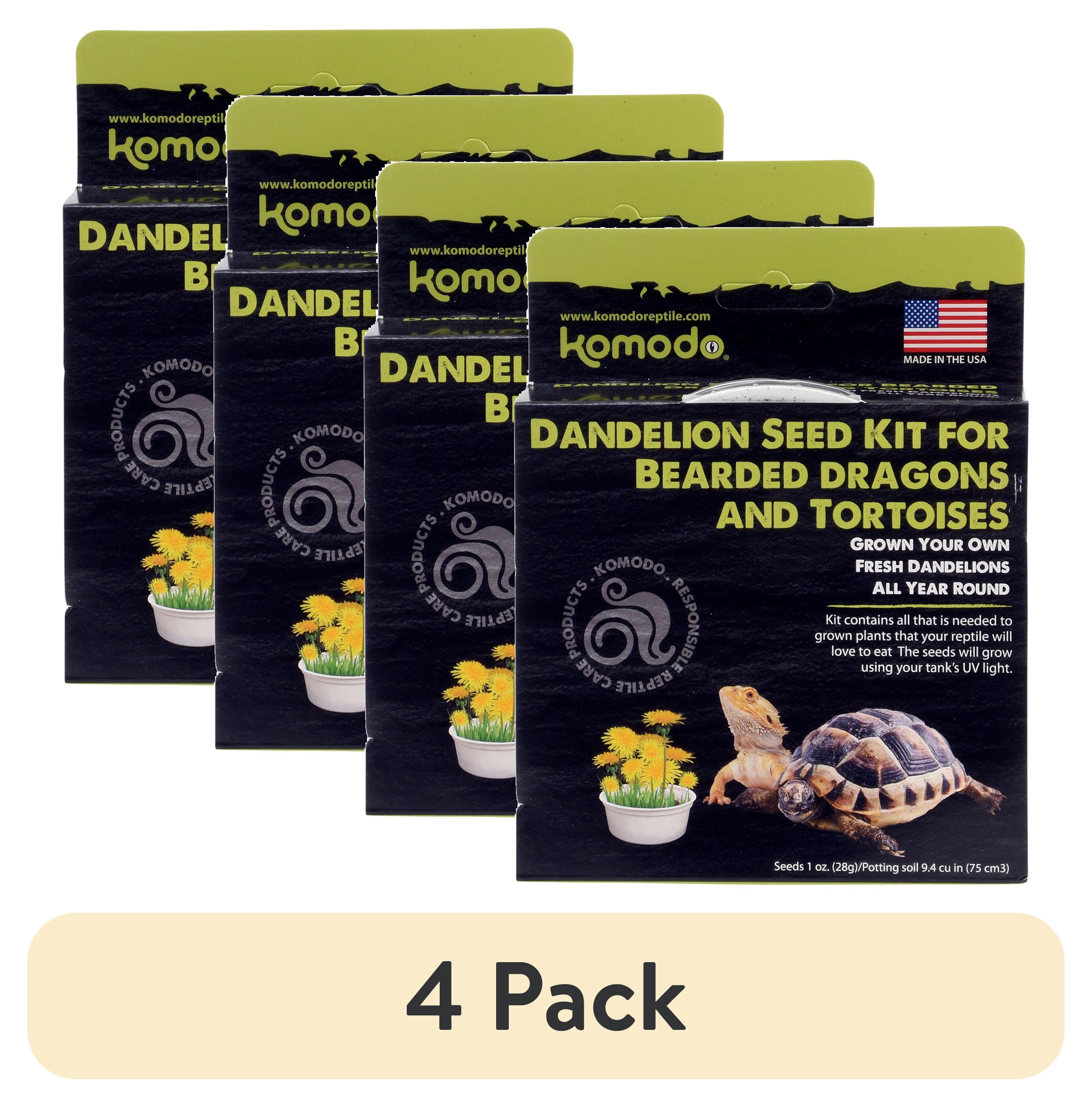 (4 pack) Komodo Grow Your Own Dandelion Reptile Food Kit , White Cup with Brown Soil and Dandelion Seeds