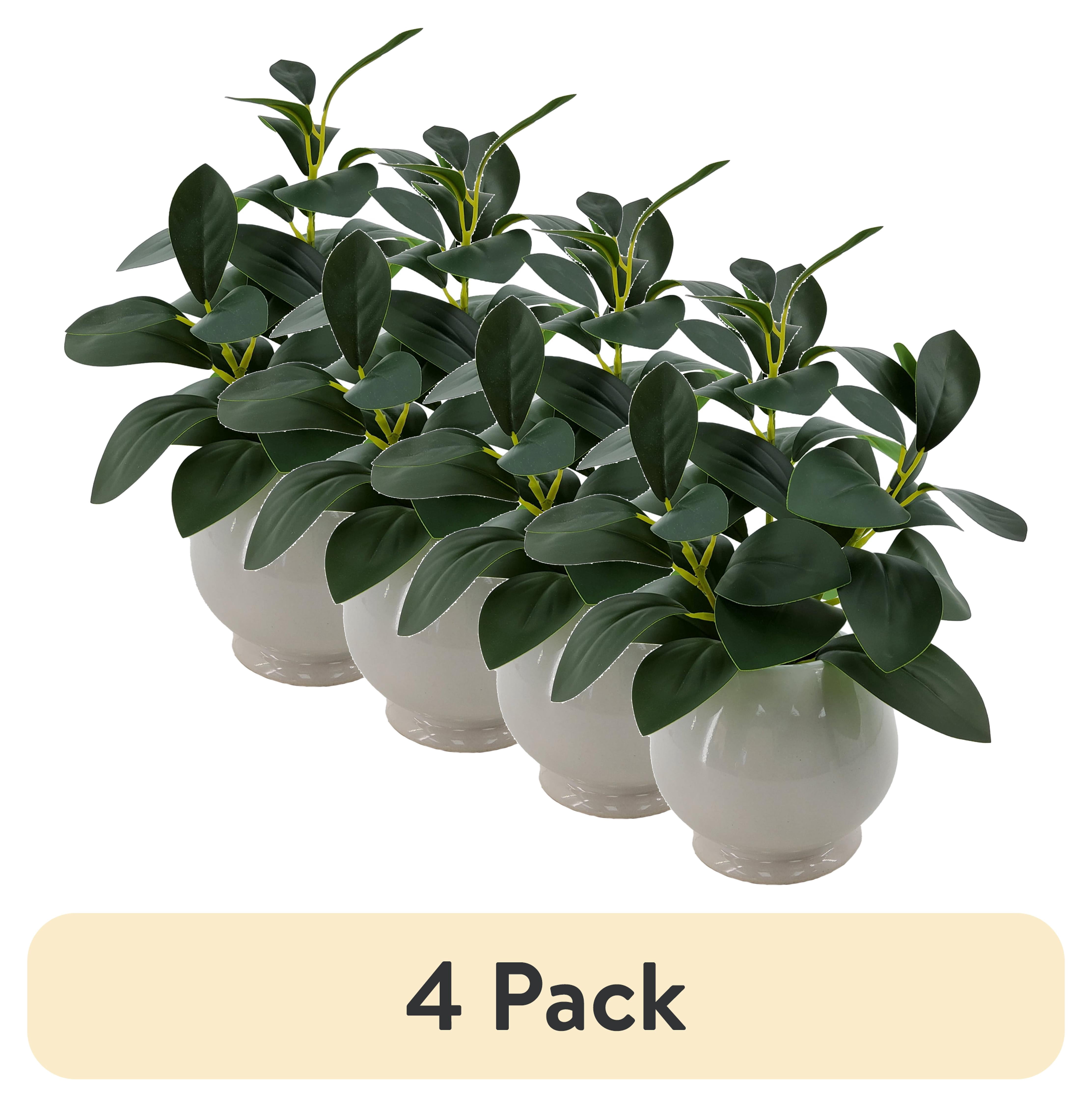 (4 pack) Mainstays Indoor Artificial Peperomia Plant in White Ceramic Pot, 11 in