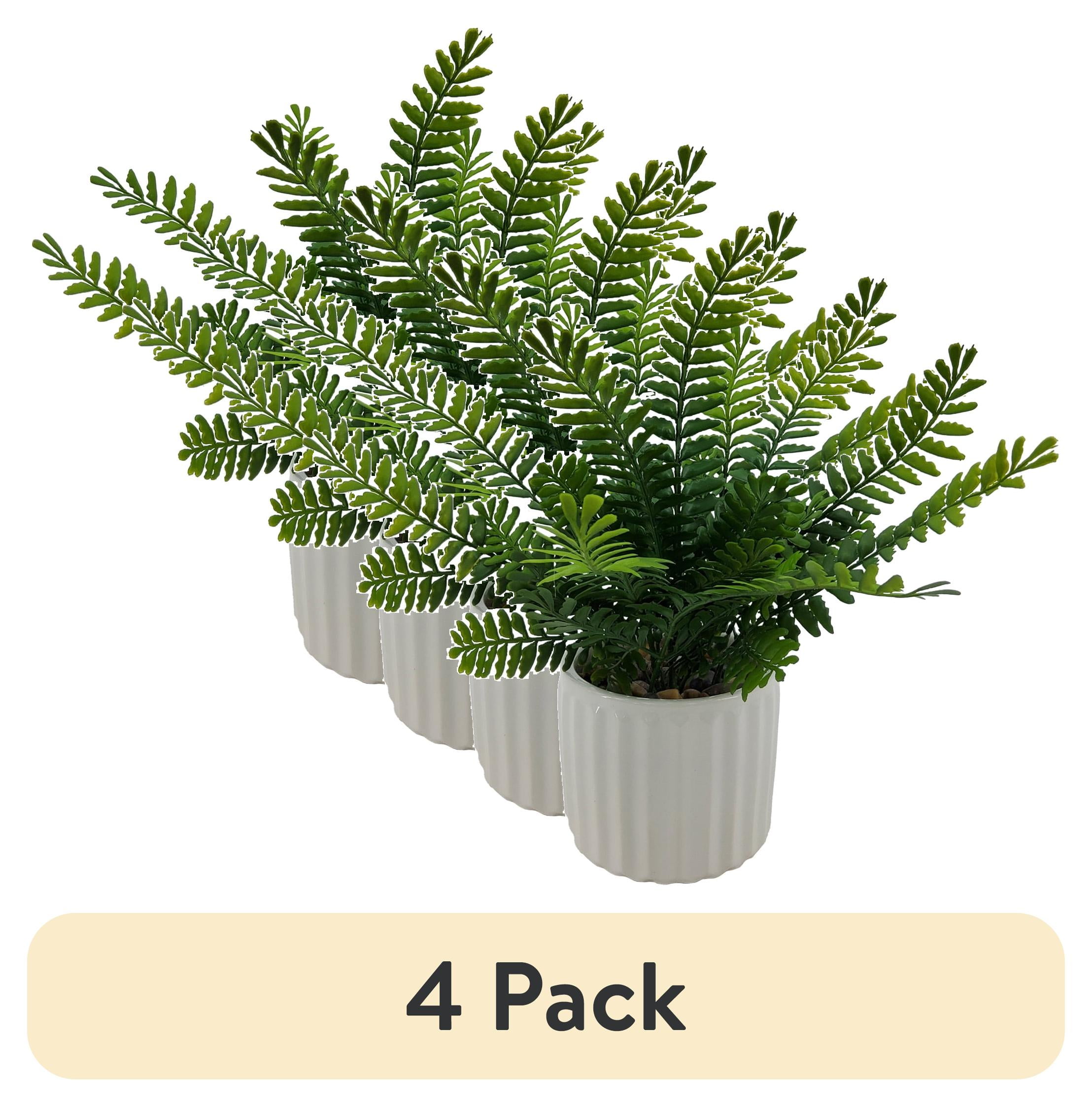 (4 pack) Mainstays 12in Indoor Artificial Boston Fern in Pot, Weight 1.5lb