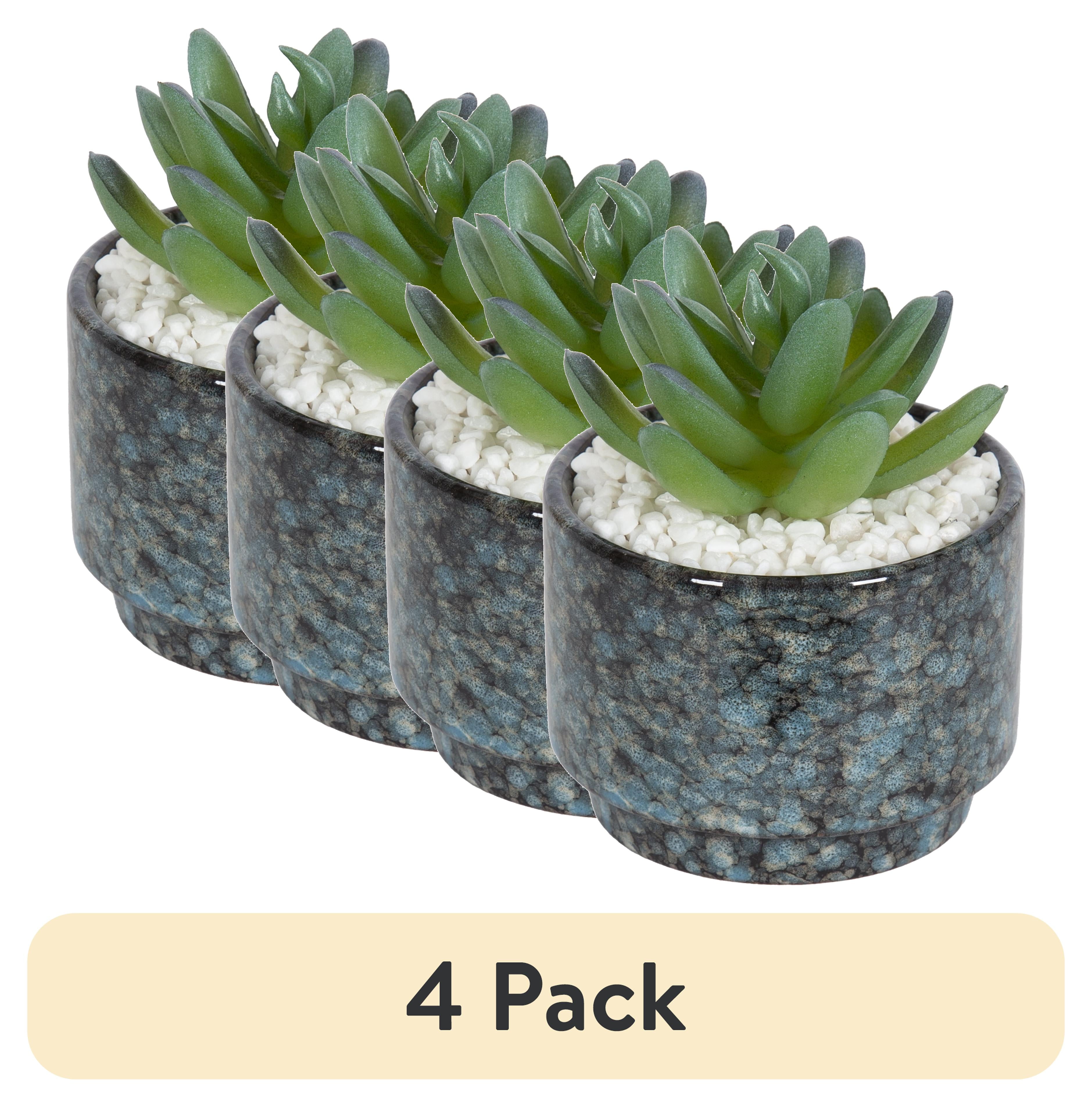 (4 pack) Mainstays 3.9" Artificial Crassula Ovata Succulent Plant in Teal Ceramic Pot