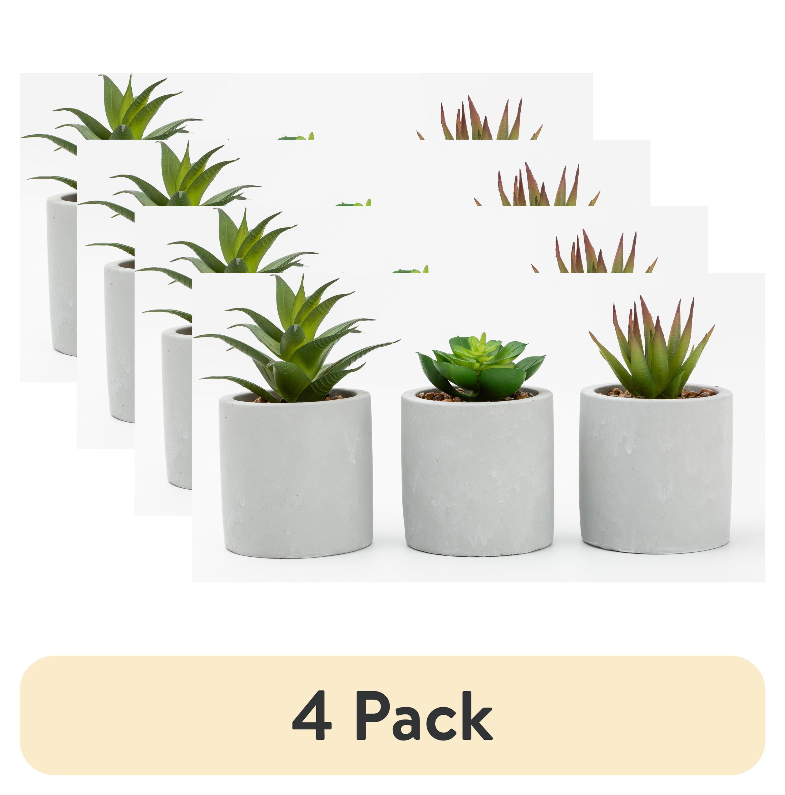 (4 pack) Mainstays 3-Piece Succulent Set in Gray Cement Planters