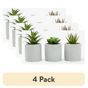 4 pack Mainstays 3-Piece Succulent Set in Gray Cement Planters