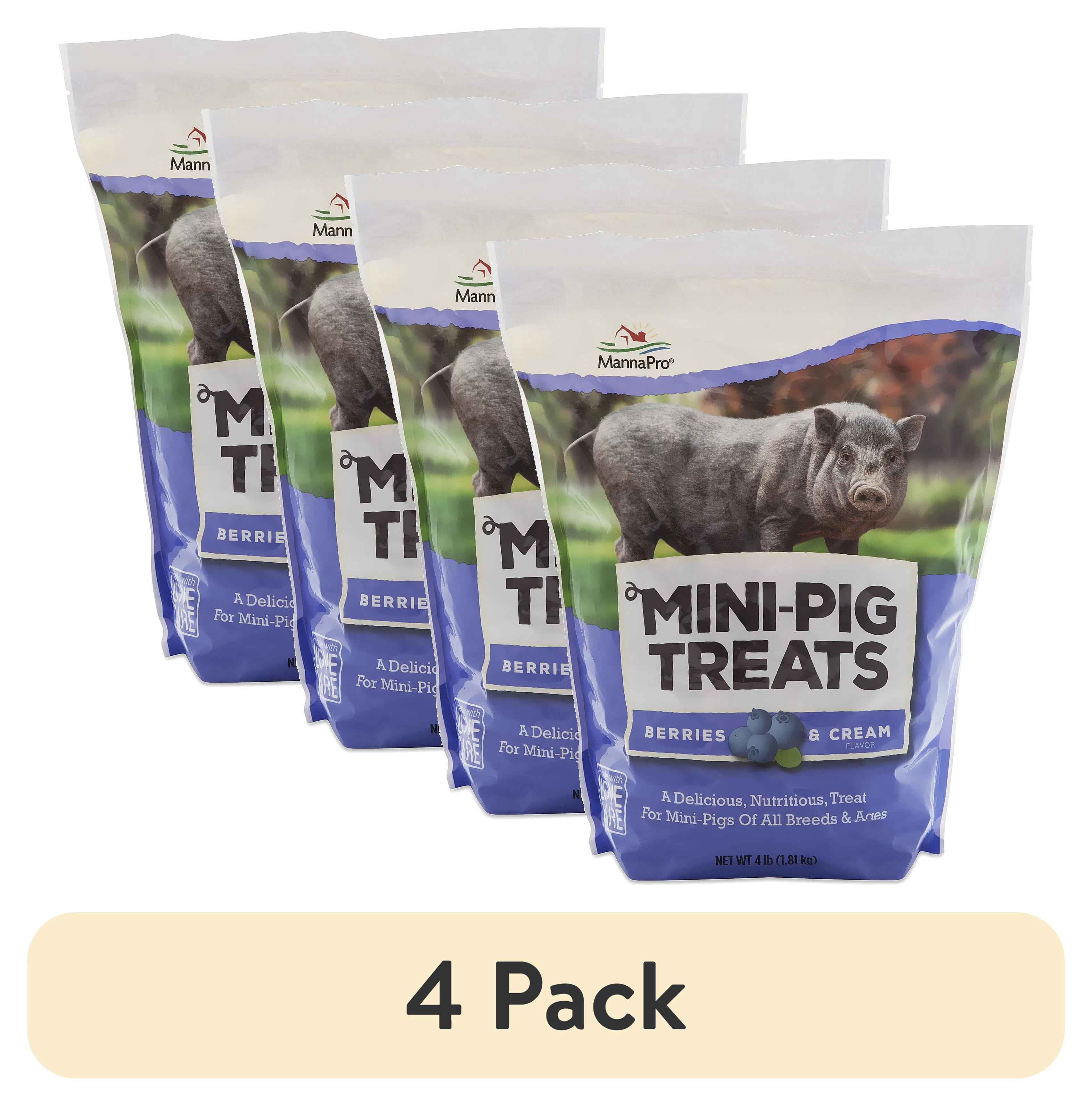 (4 pack) Manna Pro Mini Pig Treats - Berries and Cream Flavor, 4 lbs.