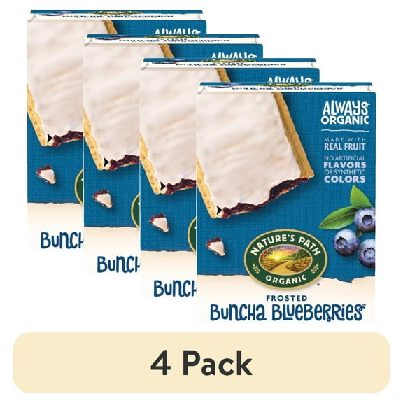 (4 pack) Nature's Path Organic Blueberry Frosted Toaster Pastries 11oz Box