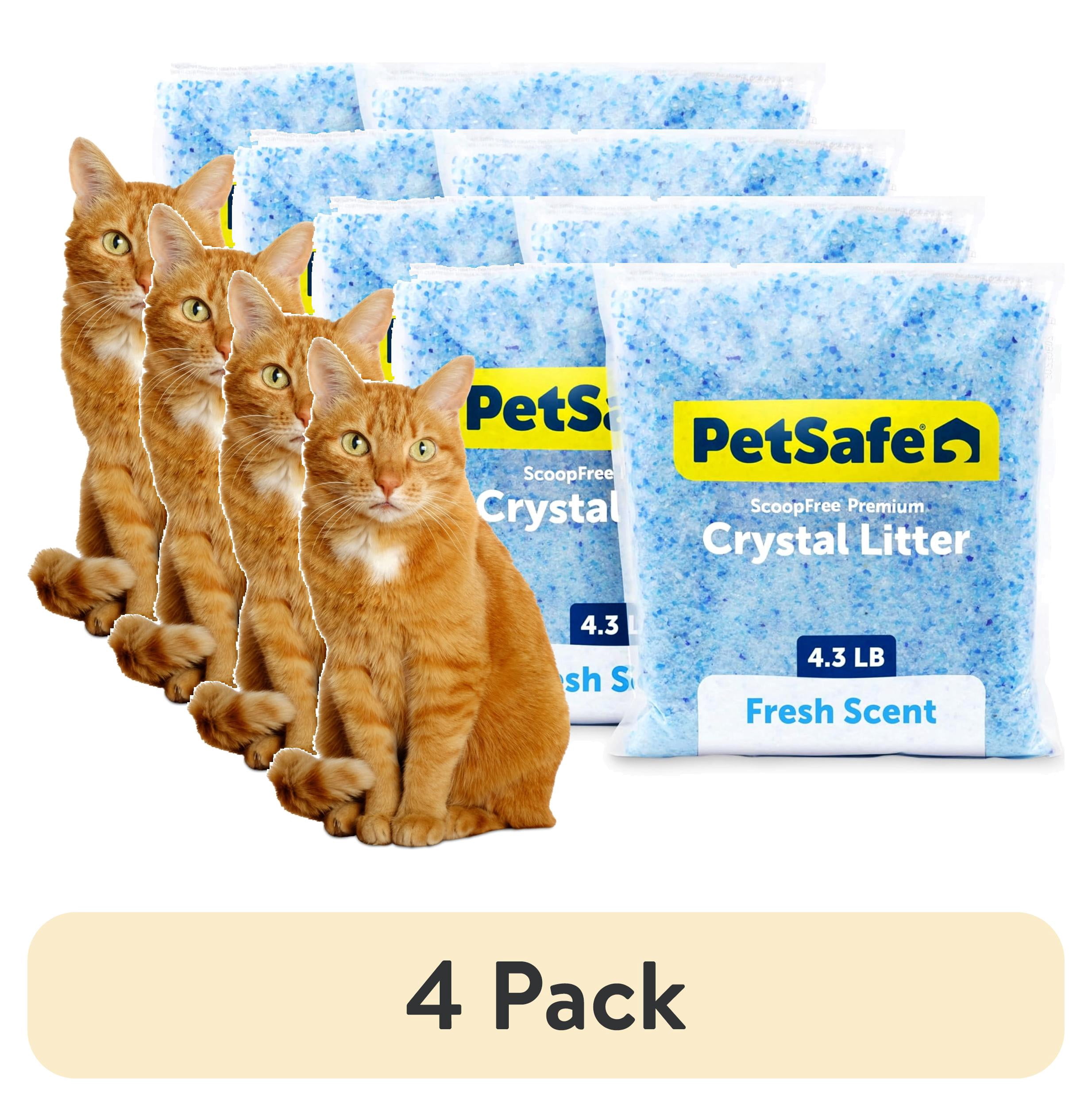 (4 pack) PetSafe ScoopFree Premium Crystal Cat Litter, Fresh Scent, Silica Crystals, 4.3 lb, 2-Pack, Blue