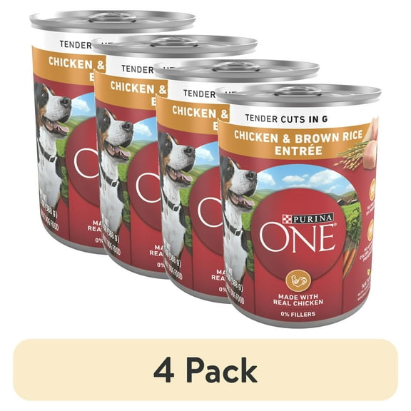 (4 pack) Purina ONE Natural Wet Dog Food, High Protein Soft Chicken & Brown Rice, 13 oz Cans (12 Pack)