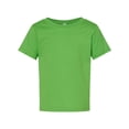 thumbnail image 1 of (4 pack) Rabbit Skins 3322 Infant Fine Jersey T-Shirt - Apple- 6 Months, 1 of 4