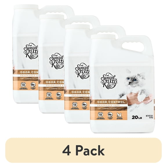(4 pack) Special Kitty Clumping Clay Cat Litter, Unscented, 20 lbs Jug