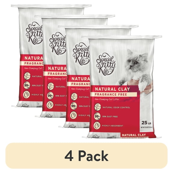 (4 pack) Special Kitty Nonclumping Clay Cat Litter, Unscented, 25 lbs Bag