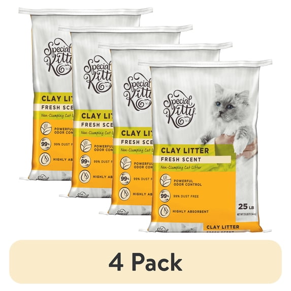 (4 pack) Special Kitty Non-Clumping Clay Cat Litter, Fresh Scent, 25 lb Bag
