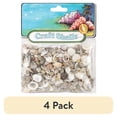 thumbnail image 1 of (4 pack) Craft Shells 150/Pkg-Natural, 1 of 3