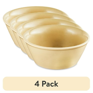 (4 pack) Vibrant Life Basic Ceramic Dog Bowl, xs