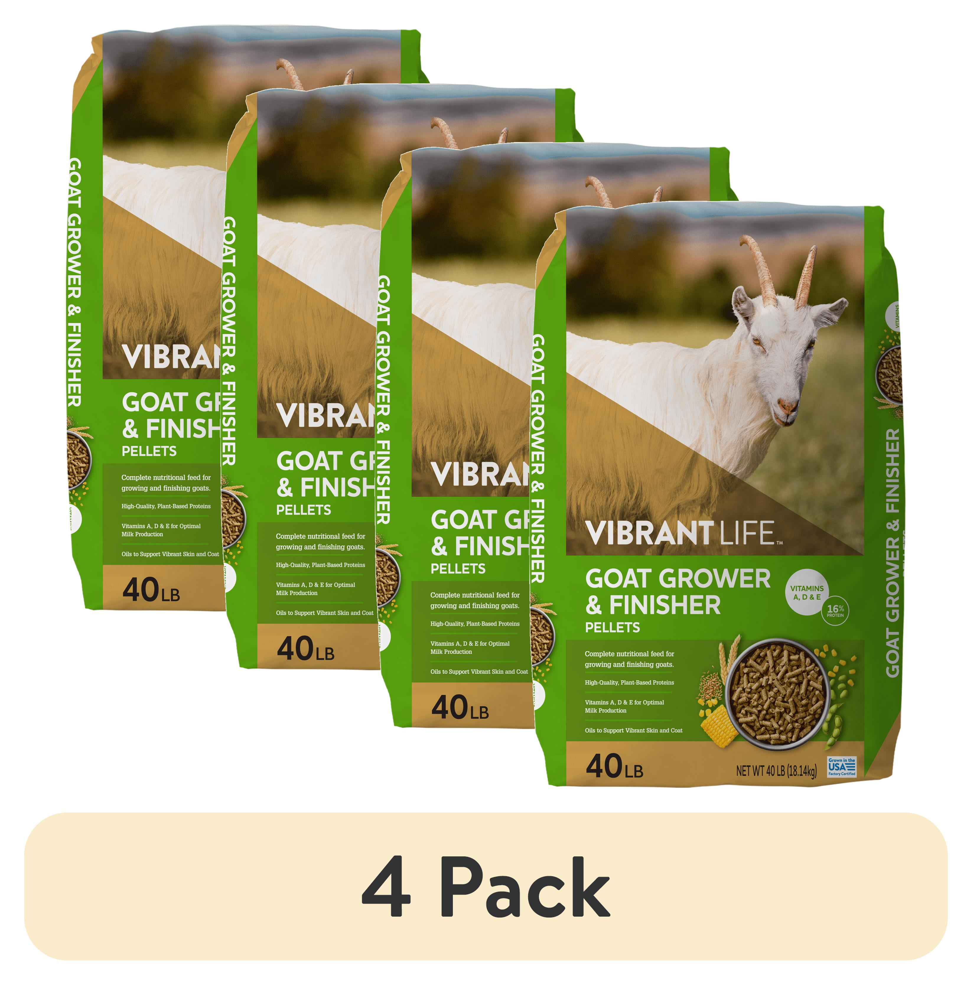 4-pack-Vibrant-Life-Goat-
