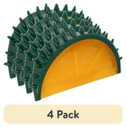 (4 pack) Vibrant Life Squeaky Fruit Dog Toy, Assorted Designs, 1 Ct