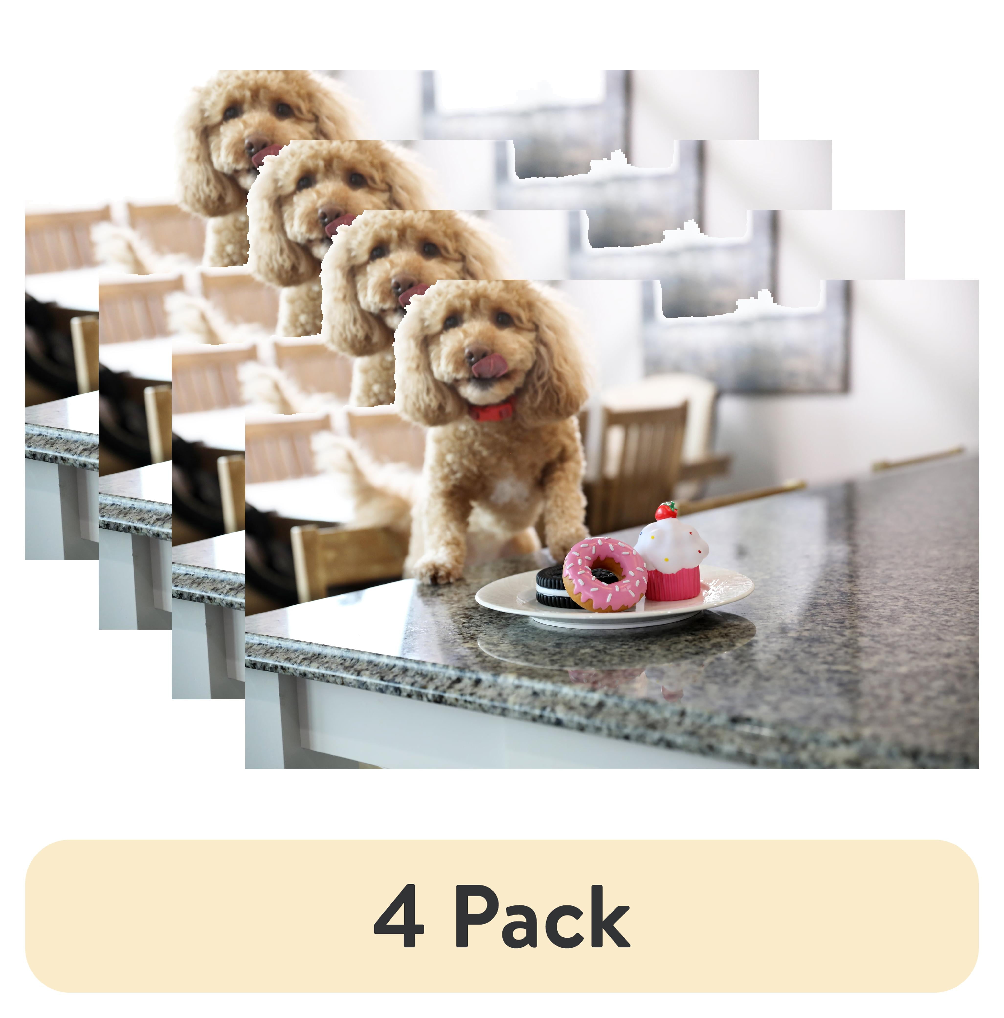 (4 pack) Vibrant Life Squeaky Pastry Rubber Chew Dog Toy, Assorted Designs