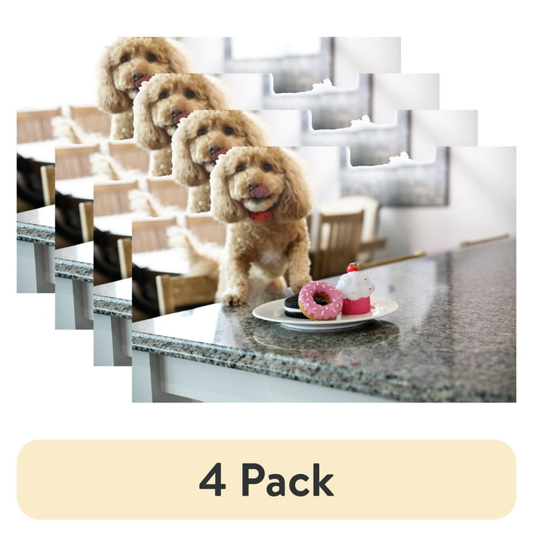 pack) Vibrant Life Squeaky Pastry Rubber Chew Dog Toy, Assorted