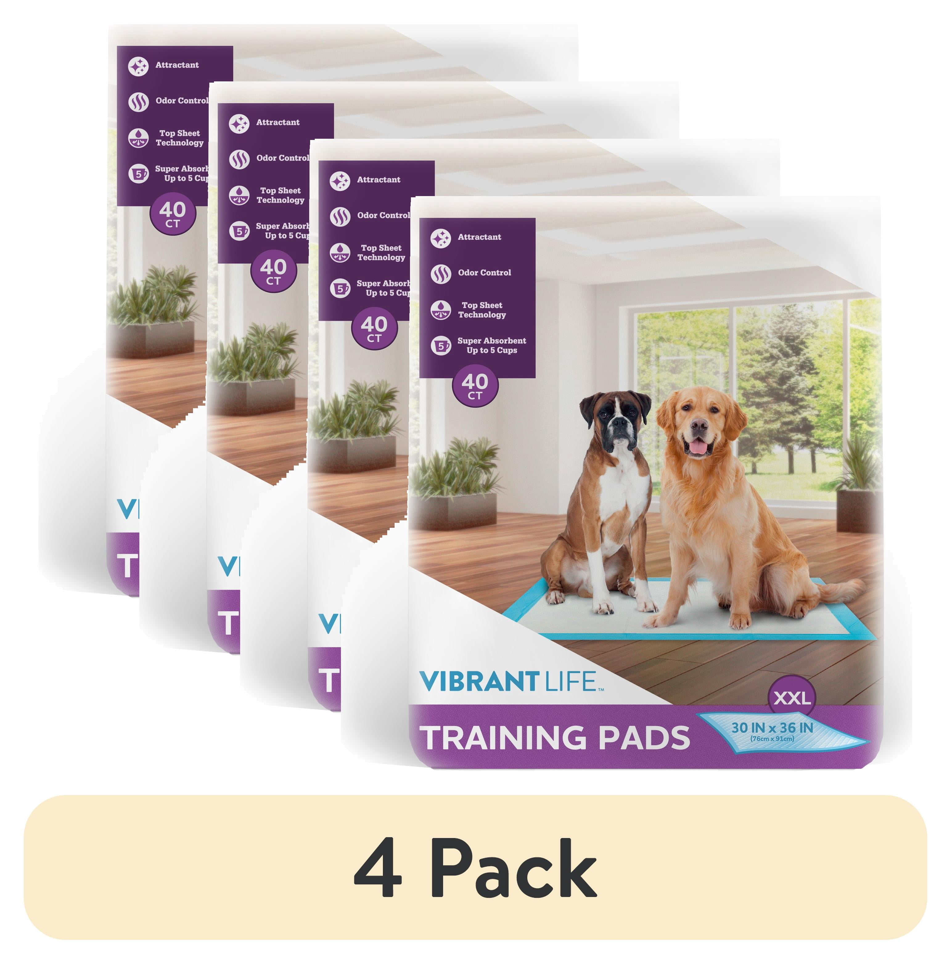 (4 pack) Vibrant Life XXL Dog Training Pads, 30 in x 36 in, 40 Count