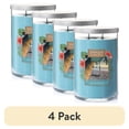 thumbnail image 1 of (4 pack) Yankee Candle Beach Escape - Large 2 Wick Tumbler Candle, 1 of 5