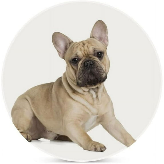 4 pcs SKYSONIC Round Drink Coasters French Bulldog Fawn Color on White Absorbent Ceramic Coaster with Cork Base for Coffee Cups for Home Decor
