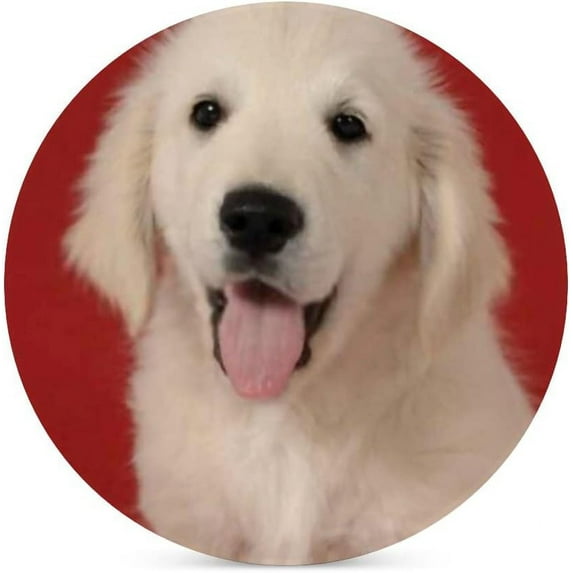 4 pcs SKYSONIC Round Drink Coasters Golden Retriever Puppy Absorbent Ceramic Coaster with Cork Base for Coffee Cups for Home Decor